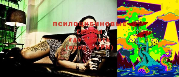 стафф Михайлов
