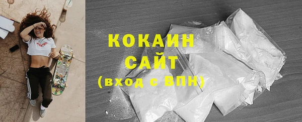 мдпв Осташков