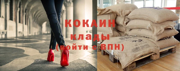 гидра Рославль