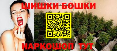 твердый Бийск