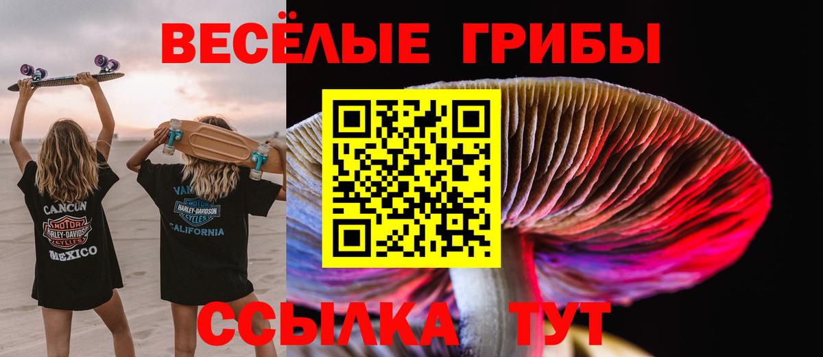 Галлюциногенные грибы прущие грибы  Вход с VPN  Сорочинск 