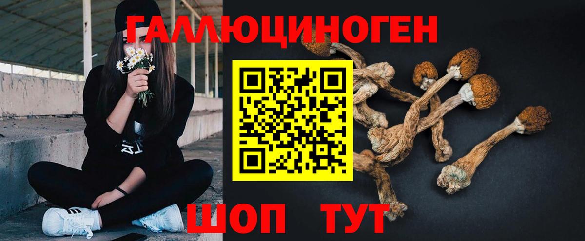 Псилоцибиновые грибы Magic Shrooms Сорочинск